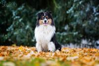 Oskar